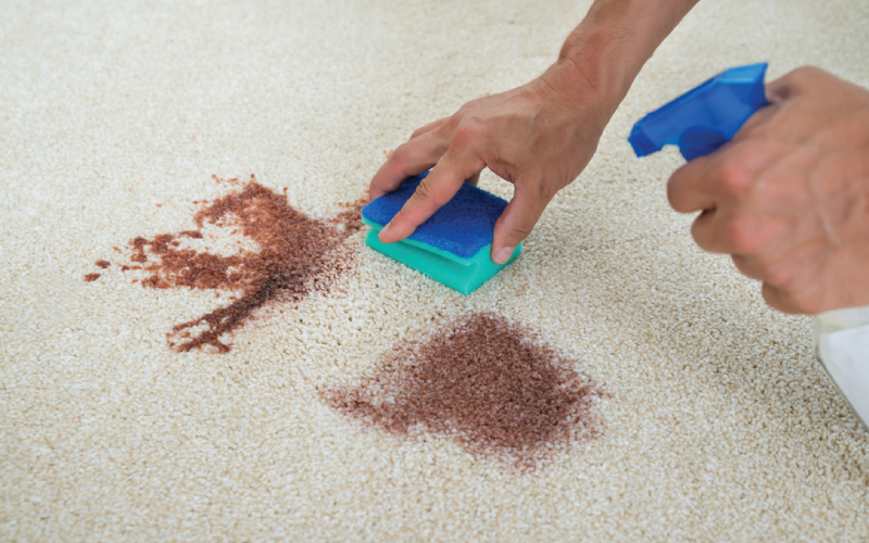 carpet cleaning in queens, carpet cleaning queens, carpet cleaners in queens, carpet cleaners in queens, commercial carpet cleaning, commercial carpet cleaning in queens, queens rug cleaners, rug cleaning services in queens, same day carpet cleaning, same day rug cleaning in queens