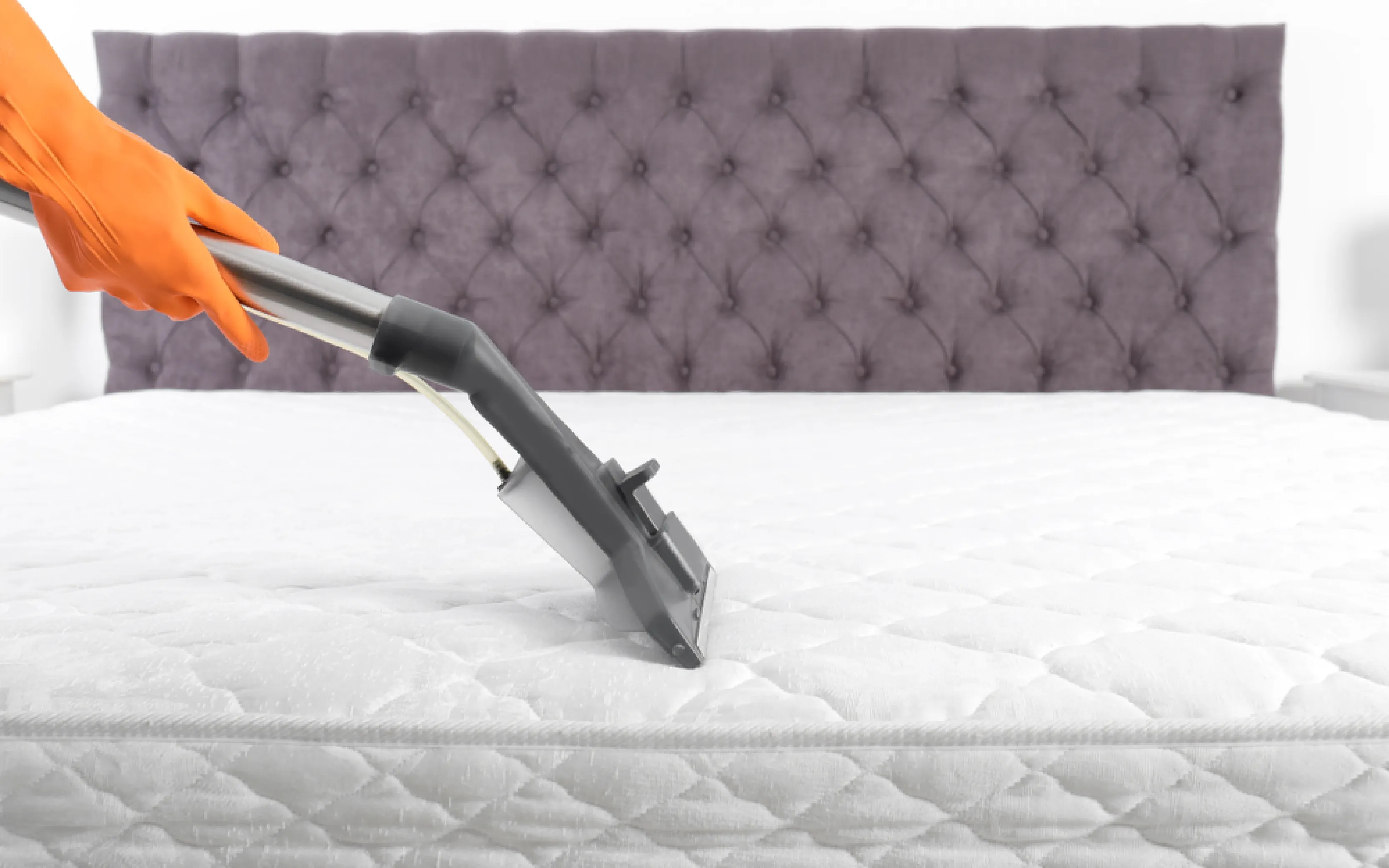 carpet cleaning in queens, carpet cleaning queens, carpet cleaners in queens, carpet cleaners in queens, commercial carpet cleaning, commercial carpet cleaning in queens, queens rug cleaners, rug cleaning services in queens, same day carpet cleaning, same day rug cleaning in queens